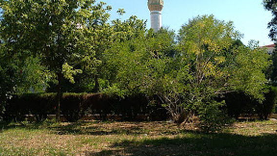 Park