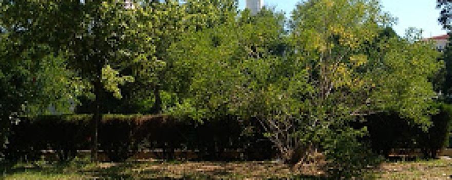 Park