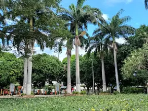 Los Pinos Park
