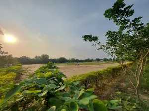 25th PAC Ground
