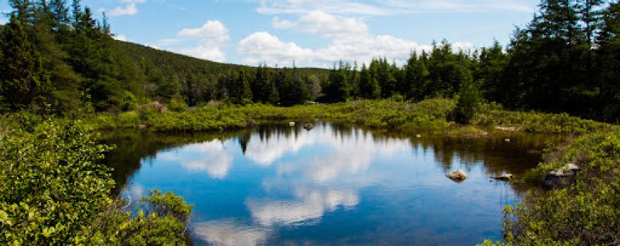 Mizzen Pond Trail