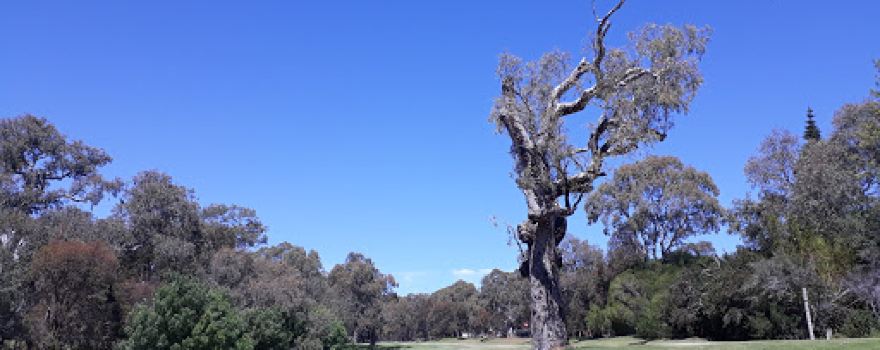 Willunga Public Golf Course