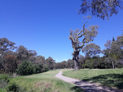 Willunga Public Golf Course