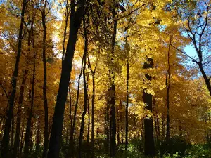 Amana Nature Trail