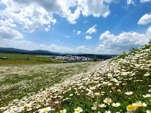 Ulugöl Yayla Camii