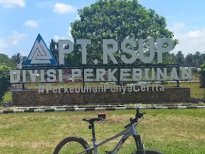 P.T RSUP-PKB