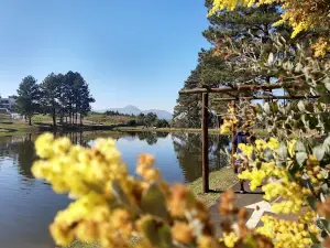 Parque do Lago