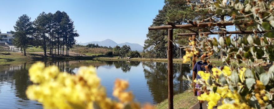 Parque do Lago