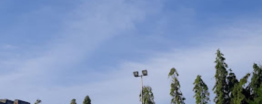 Lapangan Bola Basket Istana