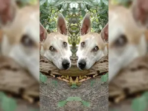 (STM) SAMATHUVABURAM