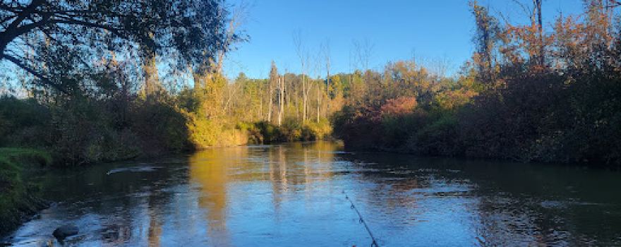 Upper Branch Bridge Landing