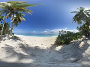 Geiymiskih Fannu