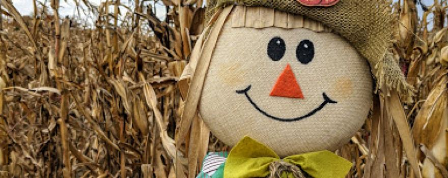 Sprague's Family Fun Farm