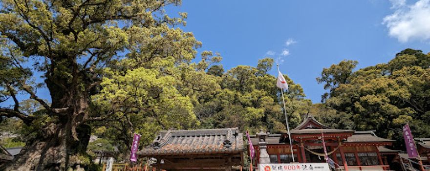 Giant Camphor Tree of Kamoh