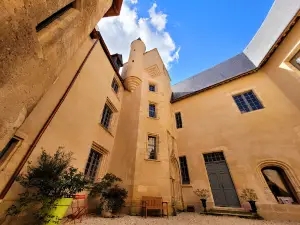Castle of Meauce