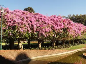 Burgers Park