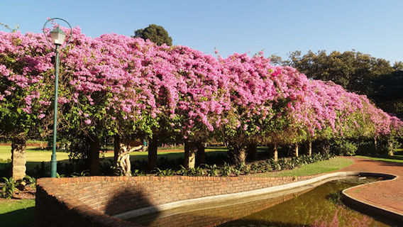 Pretoria