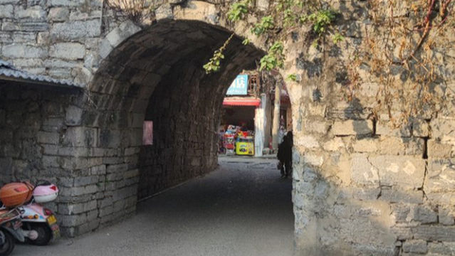 dao zhou gu cheng qiang