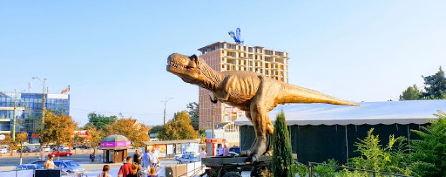 Chișinău State Circus