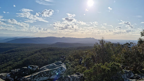 Reed lookout fire tower
