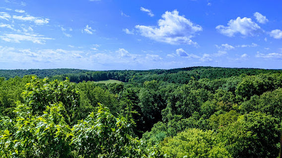 Mohican State Park Fire Tower