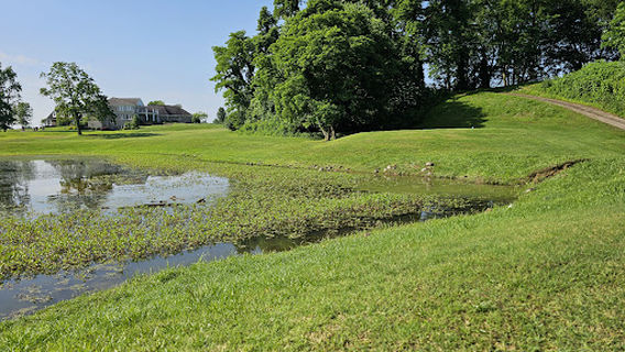 The Bridges Golf Course of Henderson
