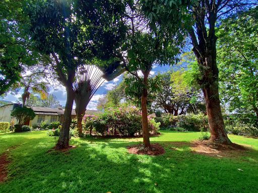 Fairview Estate Limited