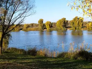 Subotica Sands