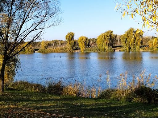 Subotica Sands