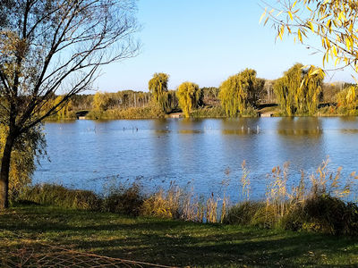 Subotica Sands