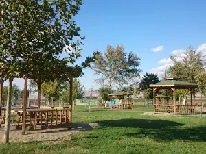 Karapınar Parkı Araban