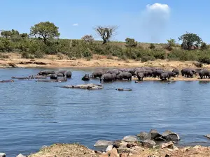 Crocodile River