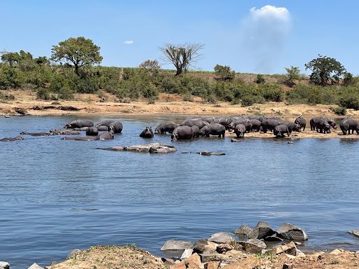 Crocodile River