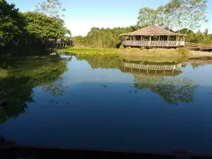Barco Athenas do Pantanal