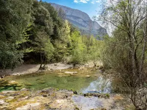 Camping Pigalo Luesia