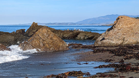 Moonstone Beach Park