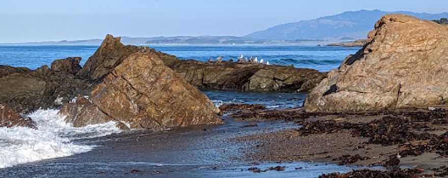 Moonstone Beach Park