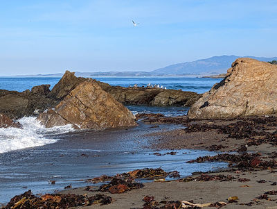 Moonstone Beach Park