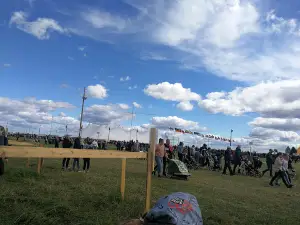 Suviseurat 2019