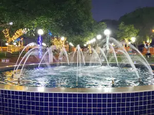 Parque João Abrão TIXINHA