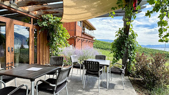 Deep Roots Winery