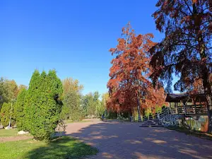 Ștrand Park