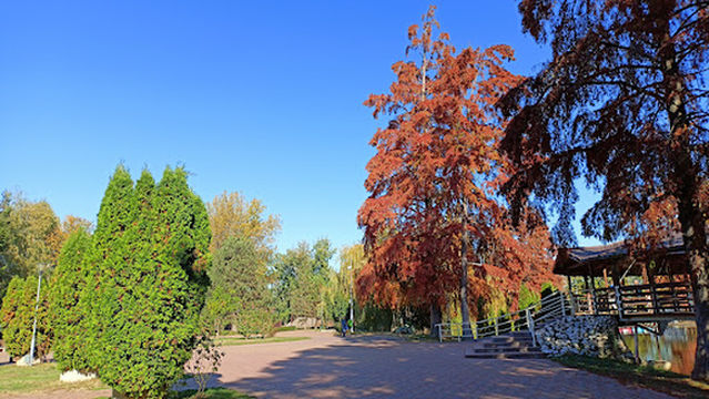 Ștrand Park