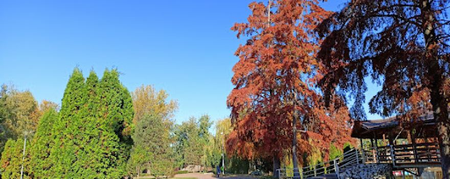 Ștrand Park