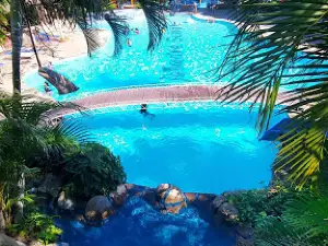 Resort Madre Selva