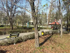 Navid Park