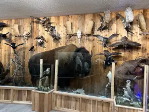 Canadian Wildlife Museum and Gift Shop