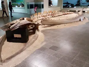盧安達自然歷史博物館