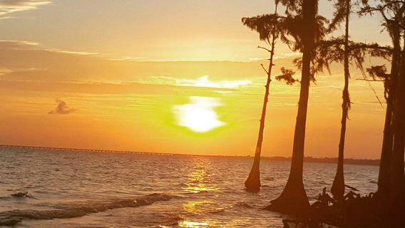 Fontainebleau State Park