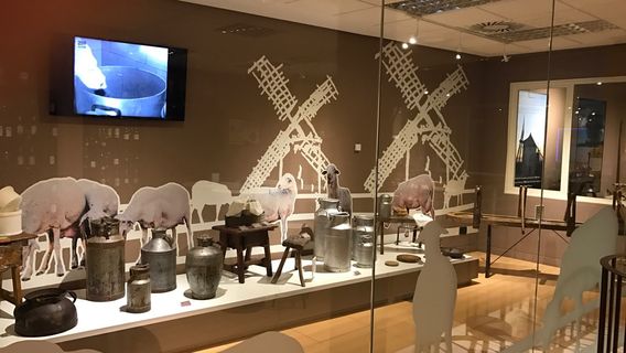 Museo del Queso Manchego Toledo